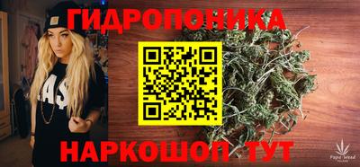 ECSTASY Сланцы