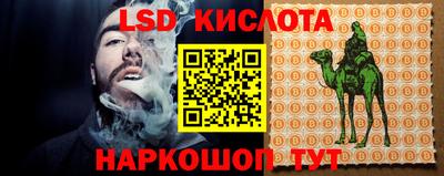ECSTASY Сланцы