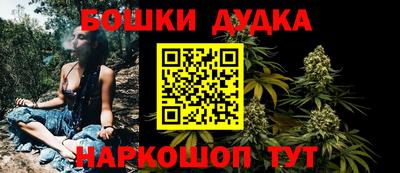 прущие крисы Славгород